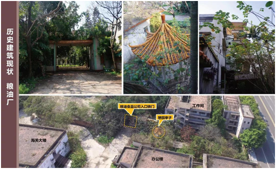 1553855735875058865.jpg 5.jpg