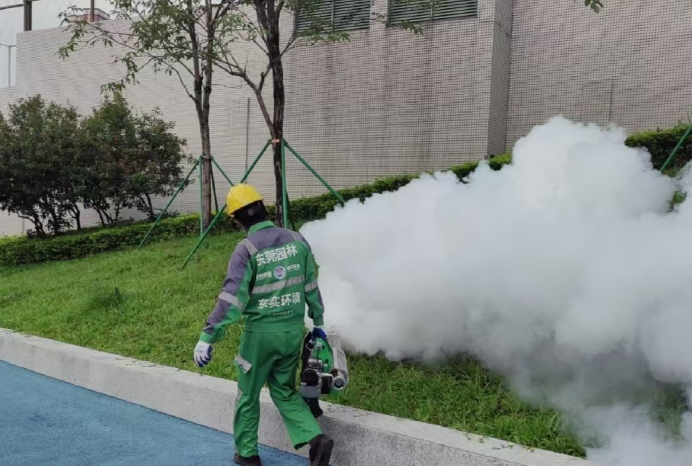 1761186339156011318.png image.png